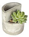Office Depot® Concrete Pencil Cup With Artificial Succulent, 3-3/4" x 3-1/2", Gray 1 thumbnail image