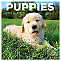 2025 TF Publishing Monthly Mini Wall Calendar, 7” x 7”, Puppies, January 2025 to December 2025. 1 thumbnail image