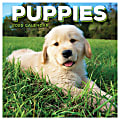 2025 TF Publishing Monthly Mini Wall Calendar, 7” x 7”, Puppies, January 2025 to December 2025.