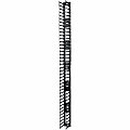 APC by Schneider Electric Vertical Cable Manager for NetShelter SX 750mm Wide 42U (Qty 2) - Cable Pass-through - Black - 1 - 42U Rack Height - TAA Compliant