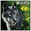 2025 TF Publishing Monthly Mini Wall Calendar, 7” x 7”, Wolves, January 2025 to December 2025