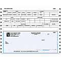 Custom Continuous Payroll Checks For Champion Business Systems®, 9 1/2" x 7", 2-Part, Box Of 250