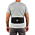Ergodyne ProFlex 1505 Low-Profile Weight Lifters Back Support Brace, Medium, Black 1 thumbnail image