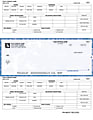 Laser Payroll Checks For RealWorld®, 8 1/2" x 11", Box Of 250, CP49, Middle Voucher 1 thumbnail image