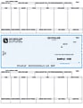 Custom Laser Payroll Checks For Sage 50 U.S., 8-1/2" x 11", Box of 250