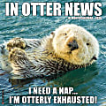 2026 Willow Creek Press Animals Monthly Wall Calendar, 12" x 12", In Otter News, January To December, 51559 1 thumbnail image