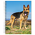 2023-2024 BrownTrout 16-Month Weekly/Monthly Engagement Planner, 7-3/4" x 7-3/16", German Shepherds, September To December