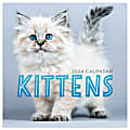 2024 TF Publishing Animals Mini Calendar, 7" x 7", Kittens, January To December 2024 , OD24-2010 1 thumbnail image