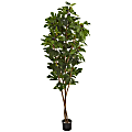 Nearly Natural Fig 81"H Artificial Tree With Pot, Green/Black 1 thumbnail image