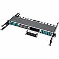 Eaton Tripp Lite Series 100Gb/120Gb Pass-Through Cassette - (x12) 24-Fiber MTP/MPO ( Female ) - (x12) 24-Fiber MTP/MPO 1 thumbnail image
