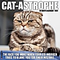 2024 Willow Creek Press Monthly Wall Calendar, 12” x 12”, CatAstrophe, January To December 2024  1 thumbnail image