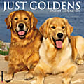 2024 Willow Creek Press Monthly Wall Calendar, 12” x 12”, Just Goldens, January To December 2024  1 thumbnail image
