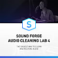 SOUND FORGE  Audio Cleaning Lab 4 (Windows)