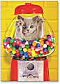 Viabella Birthday Greeting Card With Envelope, Gumball Cat, 5" x 7" 1 thumbnail image
