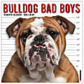 2026 Willow Creek Press Art & Design Monthly Wall Calendar, 12" x 12", Bulldog Bad Boys, January To December, 50415 1 thumbnail image