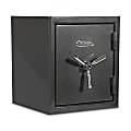 Sanctuary Platinum Biometric Home/Office Safe, 1.96 Cu. Ft., Dark Grey Hammertone