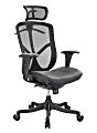 Raynor® Eurotech Fuzion High-Back Chair With Headrest And Adjustable Arms, 51"H x 26"W x 27 1/2"D, Black Mesh, Black Frame
