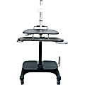 Aidata Sit and Stand Mobile LCD Workstation with Monitor Mount - 53" Height x 25" Width - Black - ABS Plastic