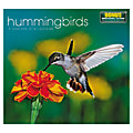 Landmark Horizontal Wall Calendar, 12" x 11", Hummingbirds, January-December 2014