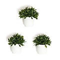 U Brands® Hedge Magnets, 7-5/16”H x 5-5/16”W x 1-5/8”D, Green/White, Pack Of 3 Magnets