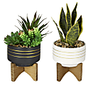 Office Depot® Brand 4-1/2"H Rubber Artificial Mixed Succulent With Stand, 4-1/2" x 4-1/2", Assorted Colors 1 thumbnail image