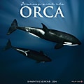 2024 Willow Creek Press Animals Monthly Wall Calendar, 12" x 12", Orcas, January To December