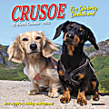 Willow Creek Press Monthly Mini Wall Calendar, 7" x 7", Crusoe Dachshund, January To December 2022 1 thumbnail image