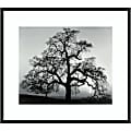 Amanti Art Oak Tree Sunset City California 1962 by Ansel Adams Wood Framed Wall Art Print, 31”W x 27”H, Black