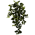 Nearly Natural Philo 34" Artificial Hanging Plants, Green, Set Of 3 Plants 1 thumbnail image