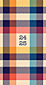 2024-2025 Willow Creek Press 2-Year Monthly Checkbook/Calendar, 3-1/2" x 6-1/2", Rad Plaid, January To December