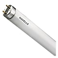 Havells USA T8 Fluorescent Tube, 32 Watts, Pack Of 6