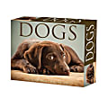 2026 Willow Creek Press Page-A-Day Daily Desk Calendar, 6-1/4" x 5-1/2", Dogs, January To December, 54147 1 thumbnail image