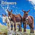 2025 BrownTrout Donkeys Monthly Plastic-Free Square Wall Calendar, 12" x 12", Domesticated Animals, January to December 2025, 9781975476946