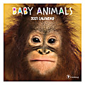 TF Publishing Mini Animal Monthly Wall Calendar, 7" x 7", Baby Animals, January To December 2021 1 thumbnail image