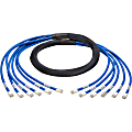 Tripp Lite 6ft Augmented Cat6 Cat6a Pre-Terminated Copper trunk Bundle 6xRJ45 M/M 6' - 6 ft - Blue 1 thumbnail image