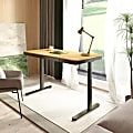 FlexiSpot Q8 Electric 55"W Height-Adjustable Standing Desk, Bamboo/Black