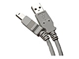 Professional Cable USB-10 - USB cable - USB Type B (M) to USB (M) - USB 2.0 - 10 ft - gray 1 thumbnail image