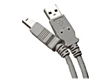 Professional Cable USB-10 - USB cable - USB Type B (M) to USB (M) - USB 2.0 - 10 ft - gray