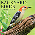 2024 Willow Creek Press Animals Monthly Wall Calendar, 12" x 12", Backyard Birds, January To December