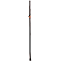 Brazos Walking Sticks™ Free Form Iron Bamboo Walking Stick, 58", Black 1 thumbnail image