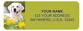Custom Address Labels, 2-1/2" x 3/4", Golden Retriever, Pack Of 144 Labels
