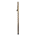 Brazos Walking Sticks™ Twisted Trail Blazer Walking Stick, 55", Tan 1 thumbnail image