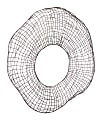 Zuo Modern Ameba Wall Décor, Small, Gray 1 thumbnail image