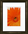 Timeless Frames Marren Espresso-Framed Floral Artwork, 8" x 10", Daisy In Bloom