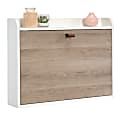 Sauder® Anda Norr 25"W Wall Mount Desk, White/Sky Oak 1 thumbnail image