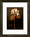 Timeless Frames Marren Espresso-Framed Floral Artwork, 16" x 20", Hydrangea