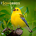 2025 BrownTrout Songbirds Monthly Plastic-Free Square Wall Calendar, 12" x 12", Wildlife, January to December 2025, 9781975477806 1 thumbnail image