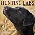 Willow Creek Press Animals Monthly Wall Calendar, 12" x 12", Hunting Labs, January to December 2022, 18422 1 thumbnail image