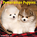 2024 Willow Creek Press Animals Monthly Wall Calendar, 12" x 12", Just Pomeranian Puppies, January To December