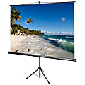 AccuScreens 800069 71" Manual Projection Screen - Yes - 1:1 - Matte White - 50" x 50"